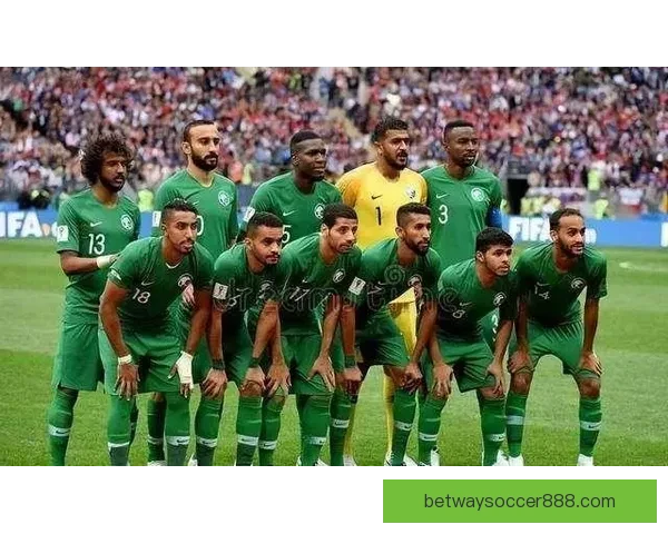 美洲三国联合举办世界杯完整赛程及精彩赛事全解析